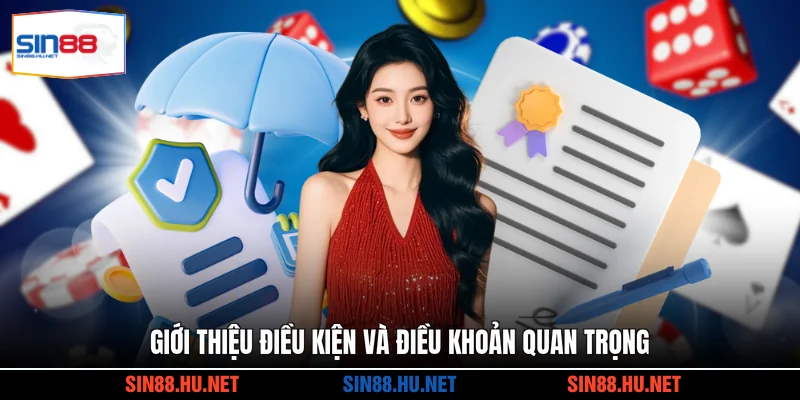 Giới thiệu điều kiện và điều khoản quan trọng